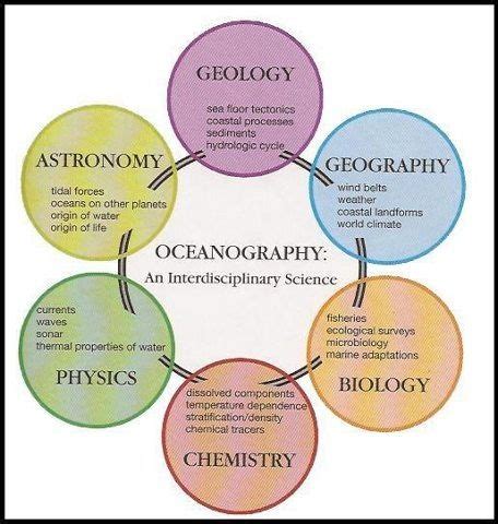 Oceanography, Oceanography marine biology, Marine biology