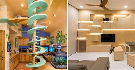 20 Creative Indoor Cat Playground Ideas | Home Design Lover | Cat playground, Cat houses indoor ...