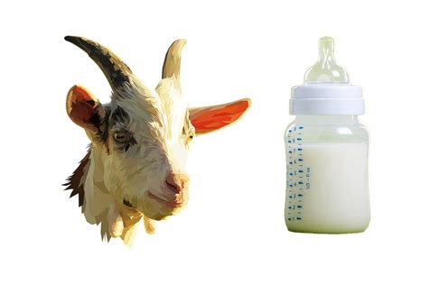 Exploring the Whimsical World of Organic Goat's Milk Baby Formula ...