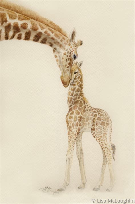 Mother And Baby Giraffe Drawing