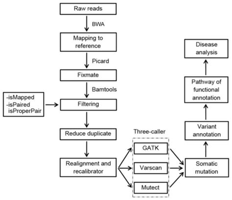 A three-caller pipeline for variant analysis of cancer whole-exome ...