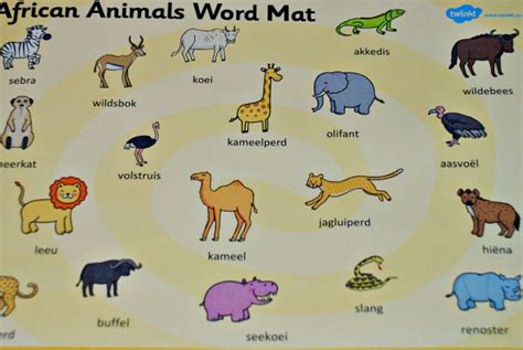 African animal mat afrikaans Jungle Animals Pictures, Animal Pictures ...