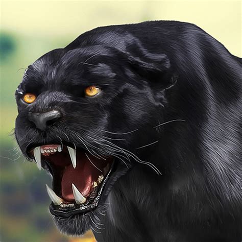 Black Panther Wild Animal Life - Apps on Google Play