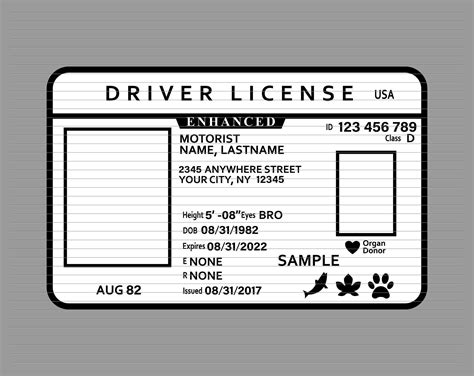 Driver Licence Svg Driver License Id Svg Id Card - Etsy UK