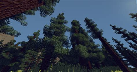 Spruce Tree Pack Minecraft Map