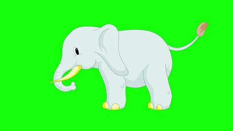 Cartoon Green Screen - Animals - Elephant 2D Animation 3675631 Stock ...