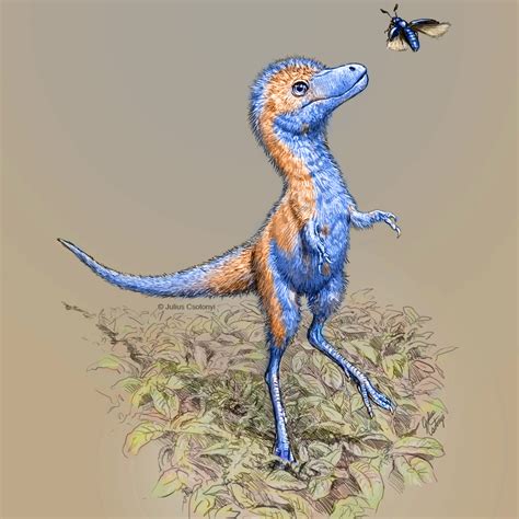 Scientists unearth first baby tyrannosaur fossils ever found | Folio