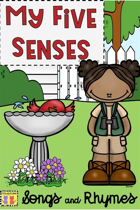 Five Senses Circle Time Songs and Rhymes | My five senses, Early childhood teacher, Circle time ...