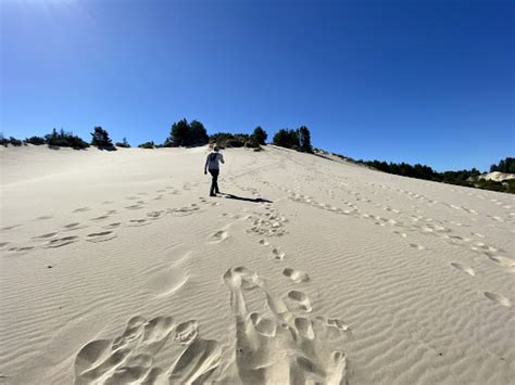 Oregon Dunes National Recreation Area: September 2021 | Camping Trip Ideas, Camping Journal ...