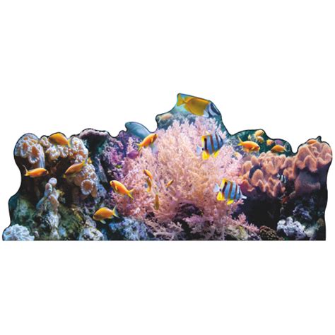 Coral Reef Ocean Floor Backdrop Cutout Free Shipping