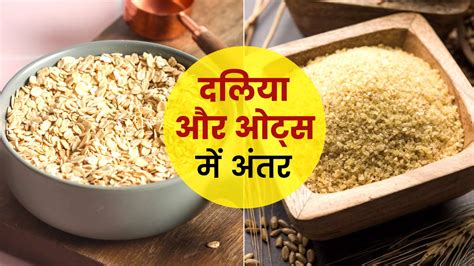 Oats vs Dalia: दलिया और ओट्स में से क्या है अधिक फायदेमंद? जानें | oats vs dalia which is better ...