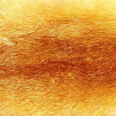 Nice fur fox texture — Stock Photo © Maugli #12820748