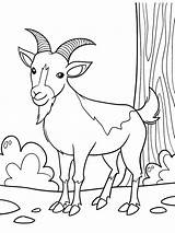 Cute goat Coloring Page  Funny Pages sketch template