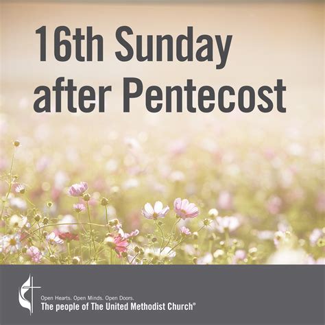 16th-Sunday-after-Pentecost-Quote | Church Butler - Done for you social ...