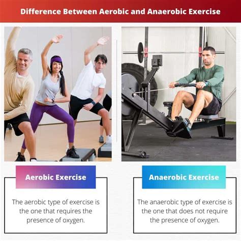 Whats The Difference Between Aerobic And Anaerobic The Difference | The Best Porn Website