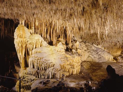 Caves of Drach Half Day Tour with boat trip and music concert | Mallorca | Mallorca