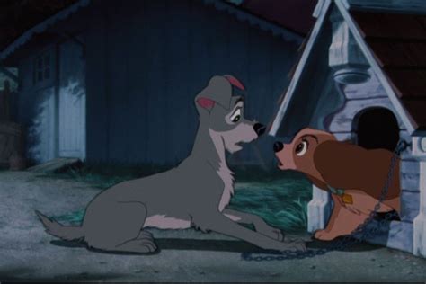 Lady and the Tramp - Disney's Lady and the Tramp Image (9961301) - Fanpop