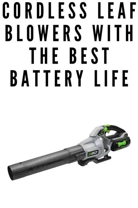 Cordless Leaf Blower with Best Battery Life - The All Electric Lawn