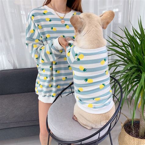 Matching Pet Owner Set for Pets Cat Small Big Dog Parent Piña Ananas Pineapple Print Sweatshirt ...