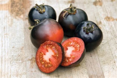 Indigo Rose Tomato Seeds — Seeds 'n Such