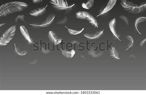 11,947 Fall Feather Vector Images, Stock Photos & Vectors | Shutterstock