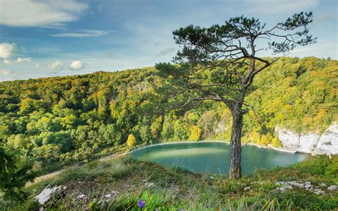 Download Forest Nature Germany Landscape Lake HD Wallpaper