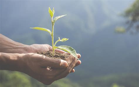 Comprometidos con la sostenibilidad para el cuidado del medio ambiente