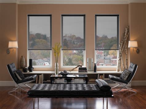 Roller Blinds - Modern - Living Room - denver - by DSC Window Fashions®