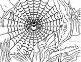 Printable Spider Web Coloring Pages For Kids  Cool2bKids sketch template