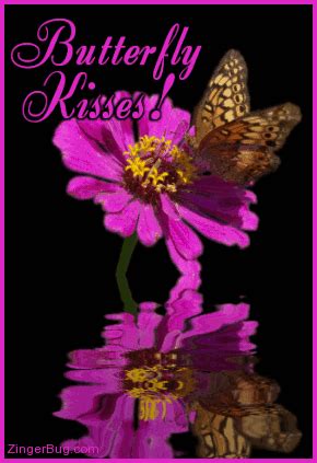 Butterfly Kisses,Animated - Butterflies Photo (19842537) - Fanpop