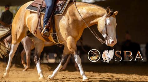 Ohio State Buckskin Horse Association Celebrates 35th Anniversary - Show Horse Today