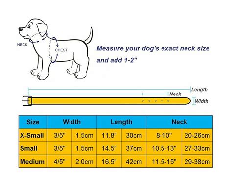 How To Measure Your Dogs Collar : Sizing Dog And Cat Collars The Paw ...