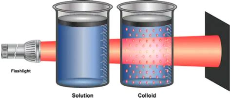 12 Difference Between True Solution, Colloidal Solution And Suspension With Examples - VIVA ...