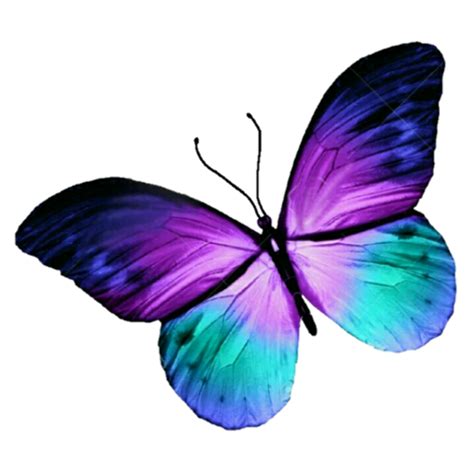 Watercolor Butterfly Tattoo, Purple Butterfly Tattoo, Butterfly Tattoos ...