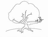 Coloring Tree With Roots Coloring Pages sketch template
