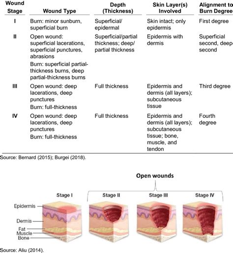 4. Summary of Wound Depth Classification | Download Scientific Diagram