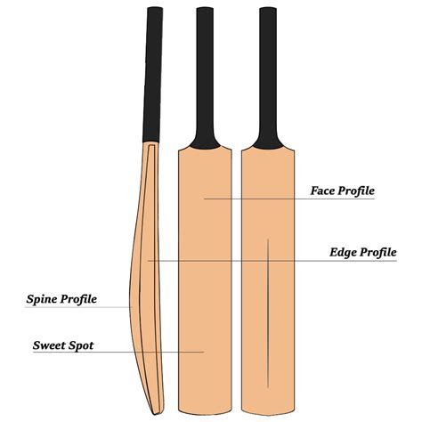 How to Choose Cricket Bat | Cricket bat length | Weight of cricket bat