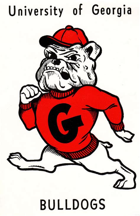 Vintage Georgia Bulldog Art Mixed Media by Row One Brand - Fine Art America