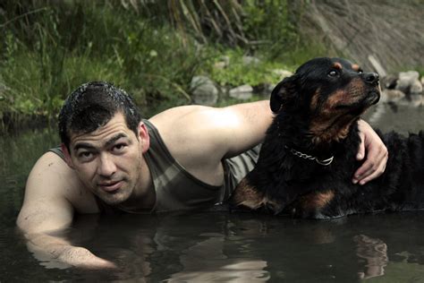 Fotos gratis : perro, verano, mascota, negro, nadando, ver, mejor amiga, Perro como mamífero ...