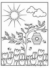 Free Flower Garden Coloring Pages  Best Site sketch template