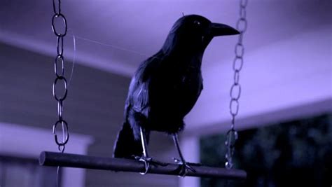 Halloween Raven Decorations Video | DIY