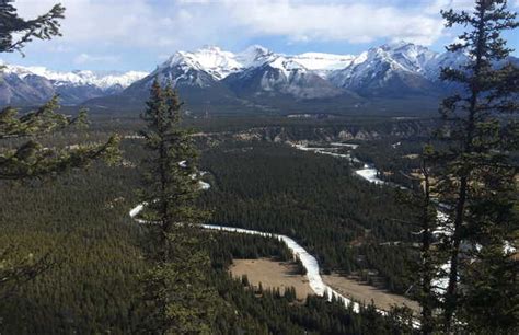 Tunnel Mountain Hike in Banff: 1 reviews and 3 photos