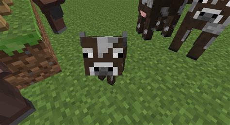 Baby Animals Skin Project And screenshots Minecraft Project