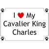 Cavalier King Charles Spaniel T-Shirt - I love my|Animal Den