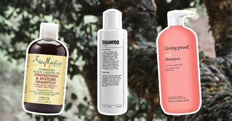 The Best Shampoos for Men With Curly Hair - Crumpe