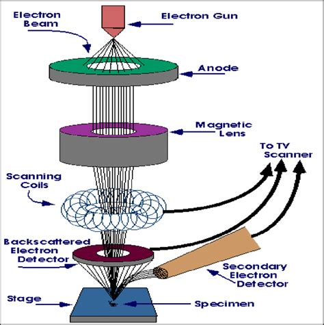 Sem Schematic Diagram - The German Sem 25 Transceiver Mark S Tech Journal : What is a schematic ...