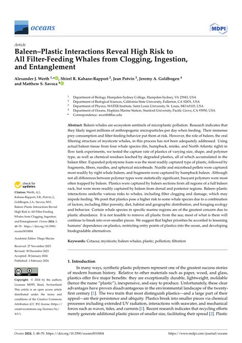 (PDF) Baleen–Plastic Interactions Reveal High Risk to All Filter ...