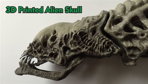 Alien Xenomorph 3D Printed Skull - YouTube