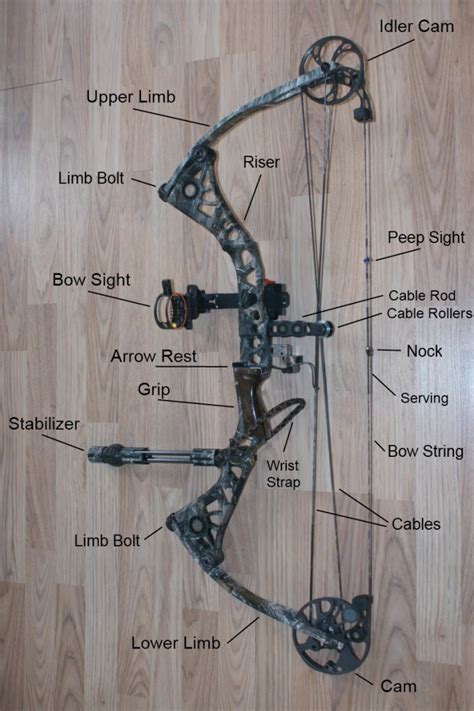 What Archery Equipment Should I buy myself or my son/daughter? - Christ Bows Arrows & Youth Inc ...