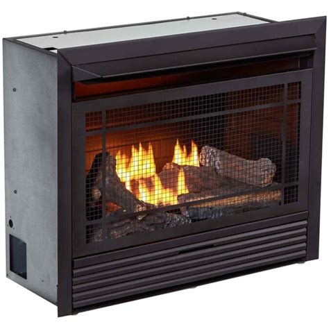 Duluth Forge Duluth Forge Dual Fuel Vent Free Indoor Fireplace Insert- 26,000 BTU, Thermostat ...